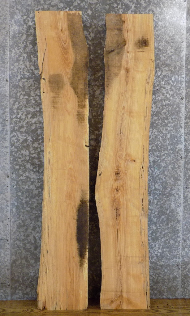 2- Rustic Natural Edge Ash Sofa/Accent Table Top Wood Slabs 40623-40624