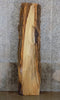 Thumbnail for Live Edge Bark Hackberry Sofa Table Top Slab CLOSEOUT 40629