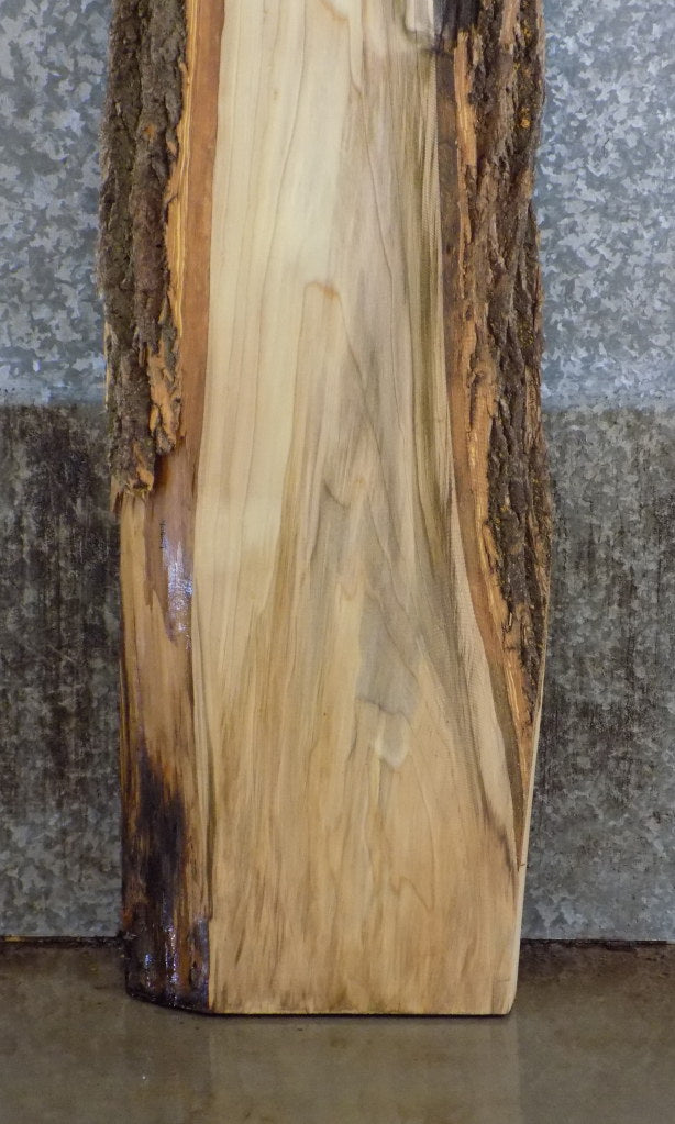 Live Edge Bark Hackberry Sofa Table Top Slab CLOSEOUT 40629