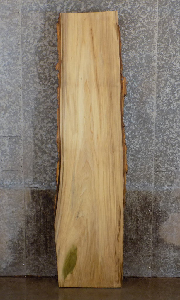 Live Edge Bark Hackberry Sofa Table Top Slab CLOSEOUT 40629