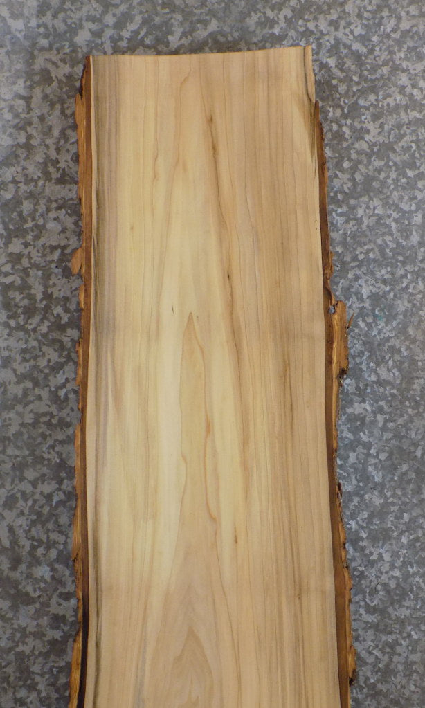 Live Edge Bark Hackberry Sofa Table Top Slab CLOSEOUT 40629