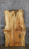 Thumbnail for Spalted Maple Rustic Desk/Coffee Table Top Slab CLOSEOUT 4062