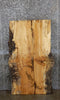 Thumbnail for Spalted Maple Rustic Desk/Coffee Table Top Slab CLOSEOUT 4062