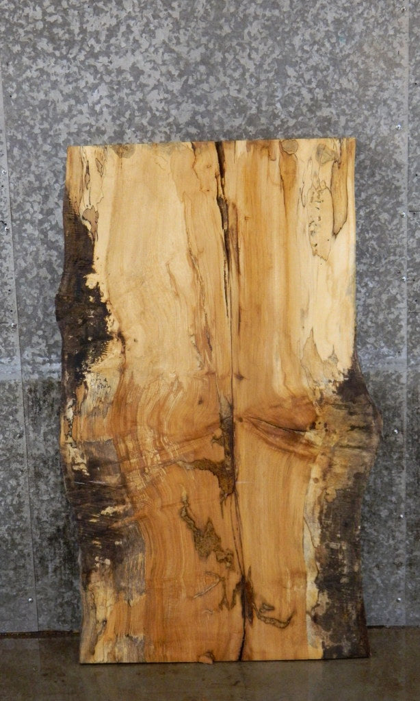Spalted Maple Rustic Desk/Coffee Table Top Slab CLOSEOUT 4062
