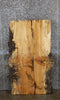 Thumbnail for Spalted Maple Rustic Desk/Coffee Table Top Slab CLOSEOUT 4062