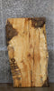 Thumbnail for Maple Live Edge Rustic Desk/Coffee Table Top Slab 4063