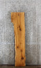 Thumbnail for Salvaged Live Edge Oak Coffee Table Top 40649