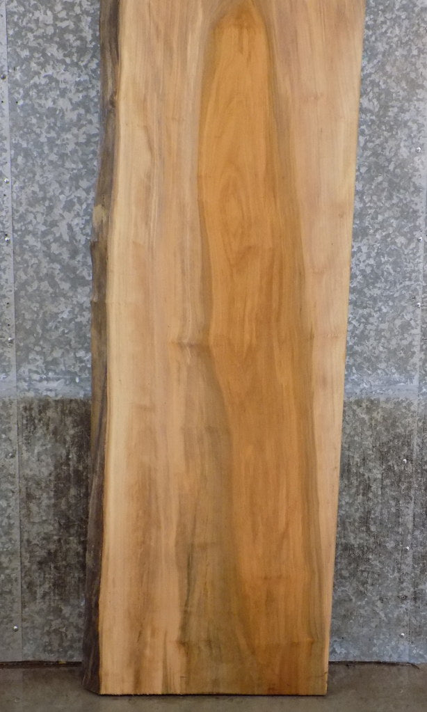 Partial Live Edge Sycamore Bar Top, Headboard Slab 40655