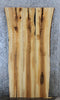 Thumbnail for 3- Bookmatched Live Edge Hardwood Ash Dining Table Top Set 40672-40674