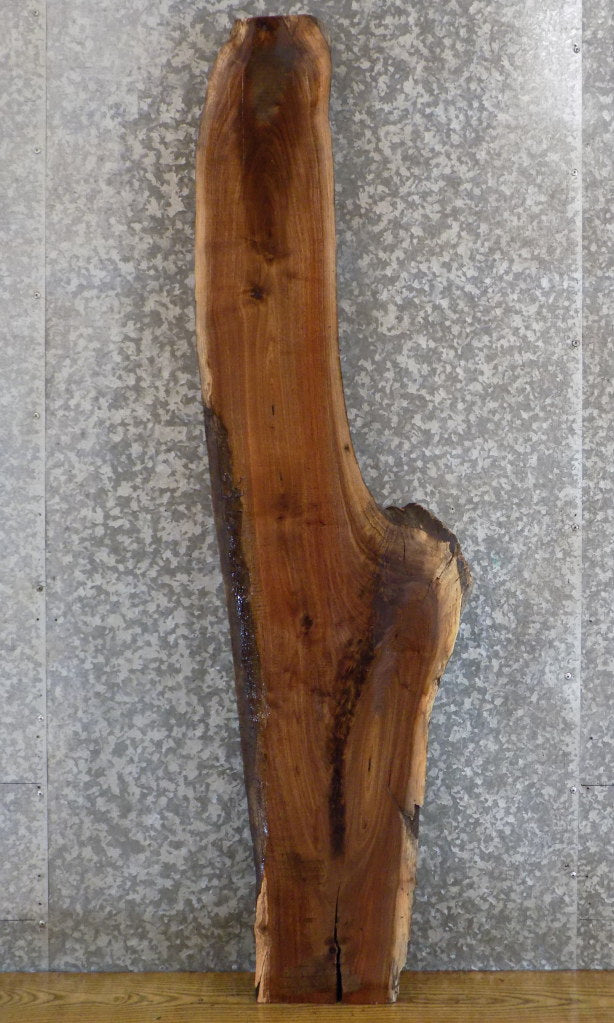 Walnut Live Edge Salvaged Sofa/Coffee Table Top Slab 40681