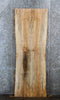 Thumbnail for 2- Bookmatched Live Edge Spalted Maple Dining Table Top Slab 40750-40751