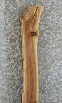 Thumbnail for Rustic Natural Edge Black Walnut Trestle Wood Slab CLOSEOUT 40761