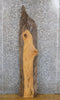 Thumbnail for Rustic Live Edge Ash Sofa/Accent/Side Table Top Slab 40762