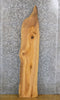 Thumbnail for Rustic Live Edge Ash Sofa/Accent/Side Table Top Slab 40762