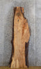 Thumbnail for Live Edge Maple Reception/Kitchen Table Top Slab 40764