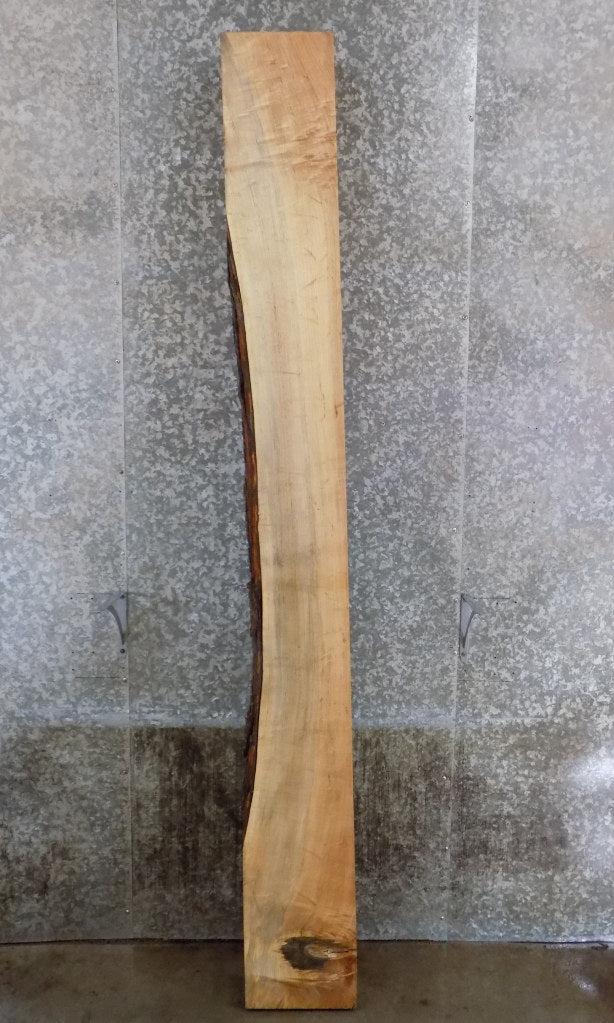 Thick Cut Reclaimed Partial Live Edge Maple Mantel Slab 40771