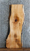 Thumbnail for Live Edge Hard Maple Sofa/Console Table Top Slab 4099