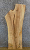 Thumbnail for Rustic Live Edge Ash Sofa/Coffee Table Top Wood Slab 4103