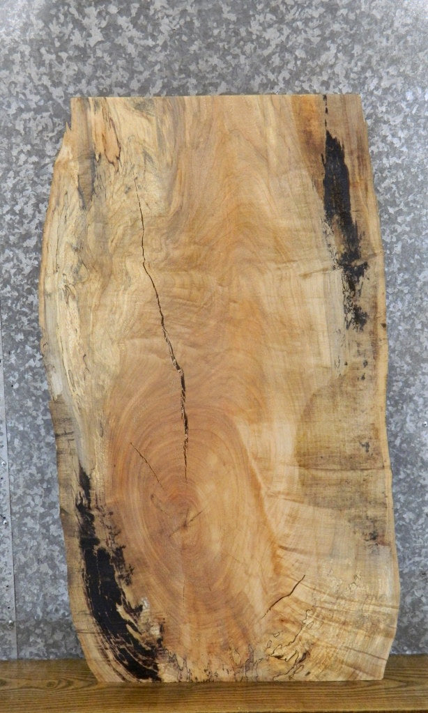 Live Edge Spalted Maple Coffee Table Top Wood Slab 4104