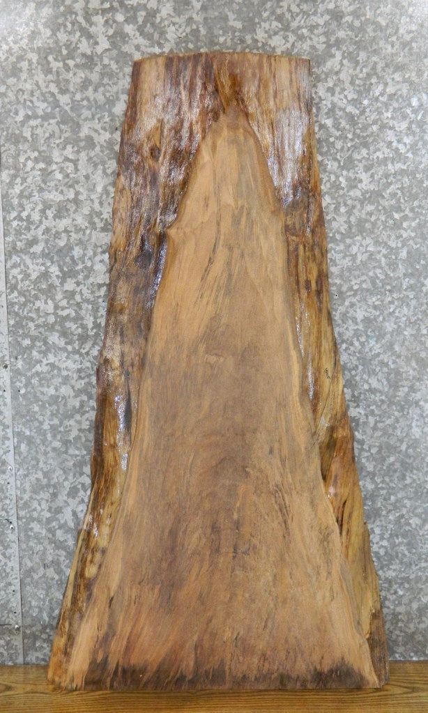 Live Edge Spalted Maple Coffee Table Top Wood Slab CLOSEOUT 4105