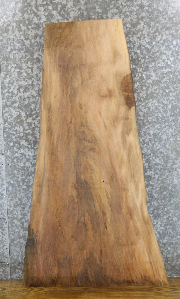 Live Edge Spalted Maple Coffee Table Top Wood Slab CLOSEOUT 4105
