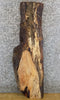 Thumbnail for Natural Edge Rustic Maple Floating Vanity/Table Top Slab 4121