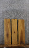 Thumbnail for 3- Oak Live Edge Charcuterie/Shelf/Taxidermy Slabs 4161