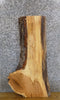 Thumbnail for Live Edge Rustic White Oak Sofa/Coffee Table Top Slab 4163