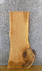 Thumbnail for Live Edge Rustic White Oak Sofa/Coffee Table Top Slab 4163