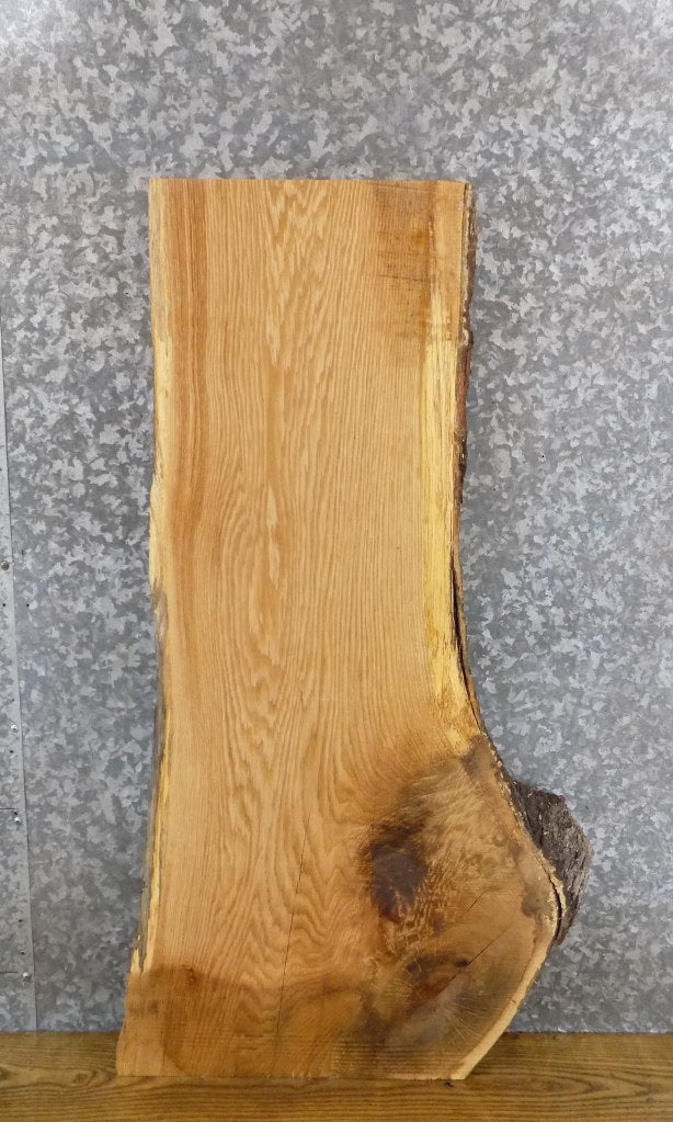 Live Edge Rustic White Oak Sofa/Coffee Table Top Slab 4163