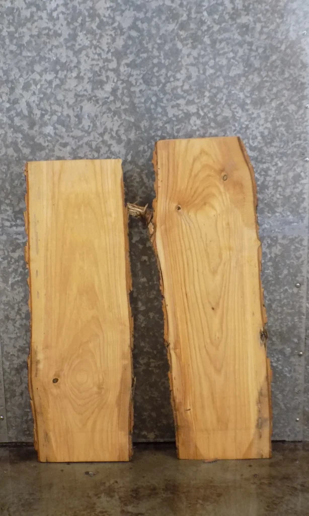 2- Live Edge Ash Wall Shelf/End/Accent Table Top Slabs 4164-4165