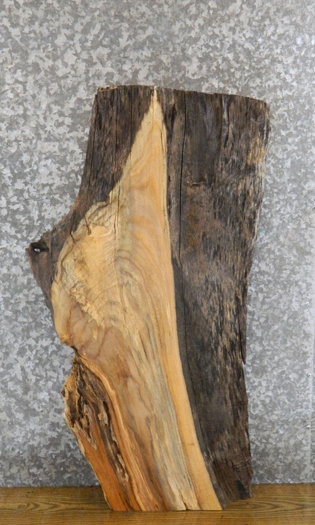 Live Edge Maple Thick Cut Sofa/Side Table Top Slab CLOSEOUT 4181