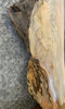 Thumbnail for Live Edge Maple Thick Cut Sofa/Side Table Top Slab CLOSEOUT 4181