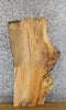 Thumbnail for Live Edge Maple Thick Cut Sofa/Side Table Top Slab CLOSEOUT 4181