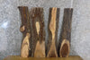 Thumbnail for 4- Natural Edge Black Walnut Craft Pack/DIY Charcuterie Boards 4189-4192