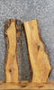 Thumbnail for 2- Live Edge Ash Mantle/Bar Top/Craftwood Slabs 4195-4196