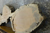 Thumbnail for Live Edge Locust Sofa Table Top Slab, Unique Coffee Table 42000