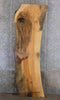 Thumbnail for Natural Edge Ash Kitchen Bar Top Slab, Wood Countertop 42003