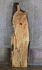 Thumbnail for Live Edge Spalted Maple Bar/Desk/Table Top Slab 42004