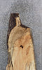 Thumbnail for Live Edge Spalted Maple Bar/Desk/Table Top Slab 42004