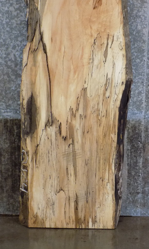 Live Edge Spalted Maple Bar/Desk/Table Top Slab 42004