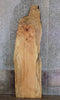 Thumbnail for Live Edge Spalted Maple Bar/Desk/Table Top Slab 42004