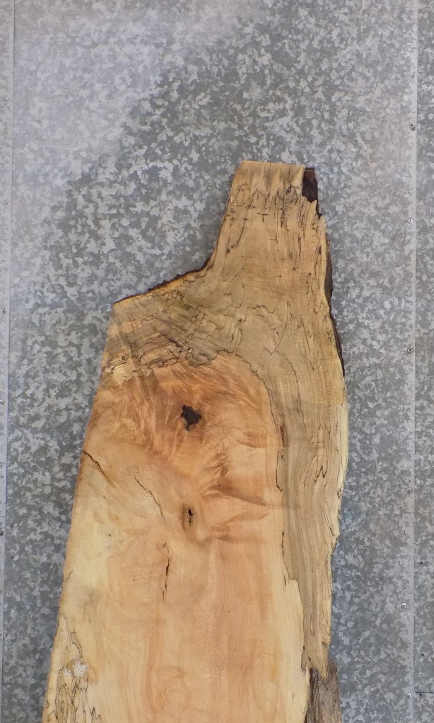 Live Edge Spalted Maple Bar/Desk/Table Top Slab 42004