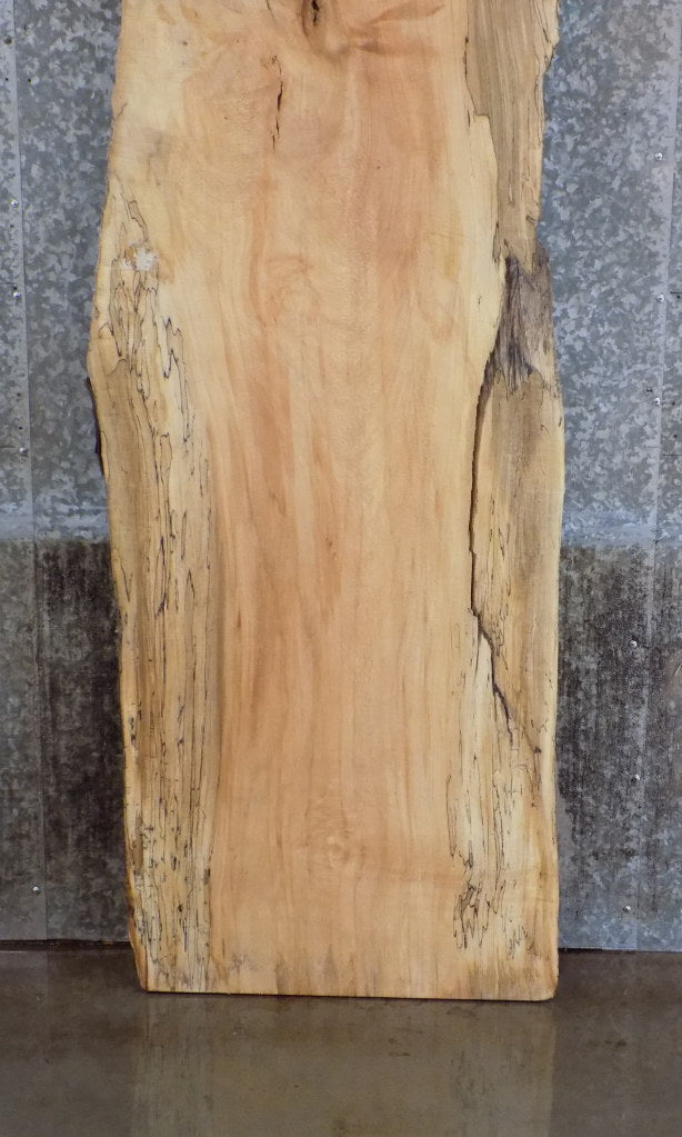 Live Edge Spalted Maple Bar/Desk/Table Top Slab 42004
