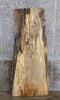 Thumbnail for Spalted Maple Live Edge Rustic Coffee Table/Desk Top Slab 42006