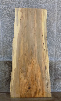 Thumbnail for Spalted Maple Live Edge Rustic Coffee Table/Desk Top Slab 42006