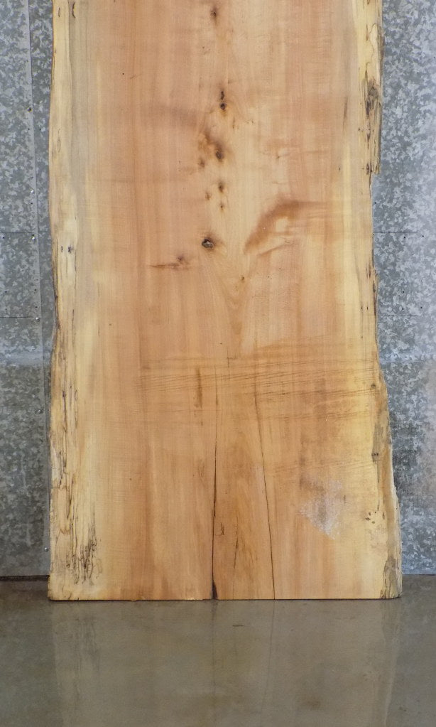Rustic Live Edge Spalted Maple Bar/Table Top Wood Slab 42012