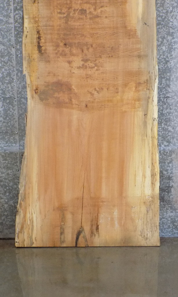 Rustic Live Edge Spalted Maple Bar/Table Top Wood Slab 42012