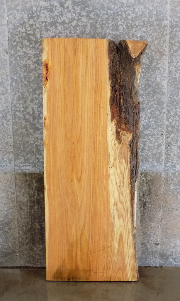 Partial Live Edge Locust Rustic Reception Table/Desk Top Slab 42023