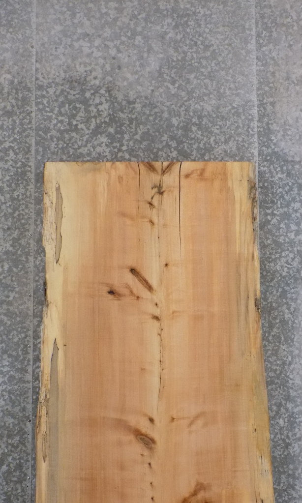 Salvaged Live Edge Spalted Maple Bar/Table Top Wood Slab 42026